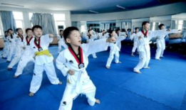 跆拳道教学视频,掌握实战技巧与礼仪规范